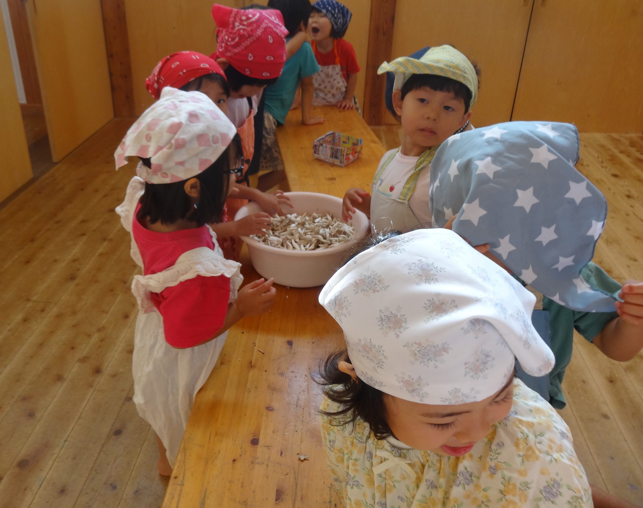 社会福祉法人 こばと保育園